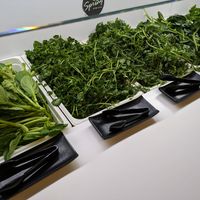  at Spring Shabu-Shabu in New York