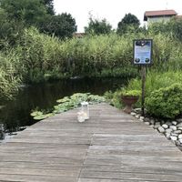 The natural swimming pool. at Fattoria I Canarini in Fossalta Di Piave