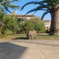 Villa at Villa Vegana in Mallorca