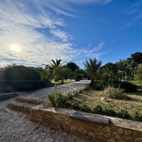 Blick in den Garten hinterm Haus  at Villa Vegana in Mallorca