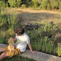  at Villa Vegana in Mallorca