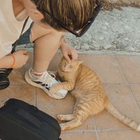   at Villa Vegana in Mallorca