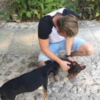 cute dogs everywhere   at Villa Vegana in Mallorca