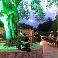 Cute duck at Villa Vegana in Mallorca