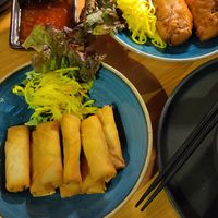 Spring rolls and tofu rolls at Soulm8 - Dimsum, Sushi, Tapas & more in Bremen