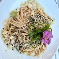 macadamia butter udon noodles at aíso in San Francisco