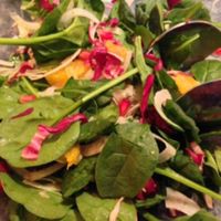 Baby Spinach Salad with fennel & pomegranite at Equinox Restaurant in Washington