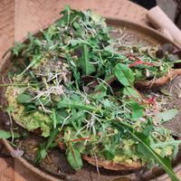 Avocado on toast at Plant Shack in London