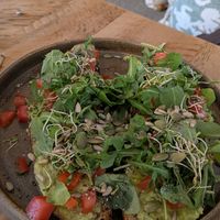  at Plant Shack in London