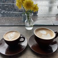 Oat milk lattes on a rainy day  at Firecreek Coffee Company in Flagstaff
