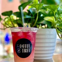 Fresh Lemonade  at The Coffee Tree in Lancaster