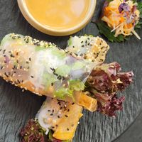 Sommerrollen at LÁ TIATO in Kassel