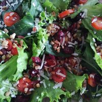  at Plant Neta Cafe in Puebla