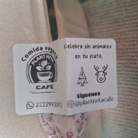 Spilling the facts ❤️🌱🎄🙌🏻 at Plant Neta Cafe in Puebla