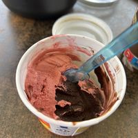 Dark chocolate and Blueberryy  at Eiscafe la Gondola in Goerlitz