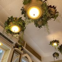   at Brunch & Cake in Barcelona