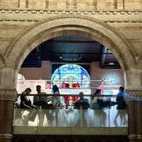   at Club Mexicana in West London