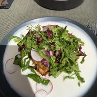 lentil lasagne  at Vegan Restoran V in Tallinn