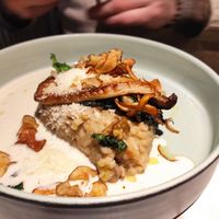 Risotto at Vegan Restoran V in Tallinn