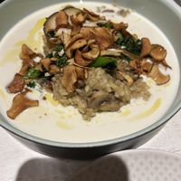 Mushroom risotto   at Vegan Restoran V in Tallinn