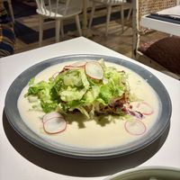 Lasagne mit Salat  at Vegan Restoran V in Tallinn