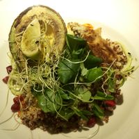 Grilled avocado, grilled tofu, kinoa, sprouts, hummus and leafy greens at Vegan Restoran V in Tallinn
