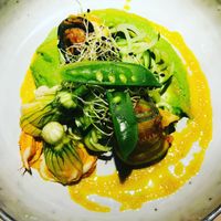 Zucchini blossoms stuffed with cashew cheez, rolled zucchini stuffed with lentils, spiralized cucumber on a bed of pea puree at Vegan Restoran V in Tallinn