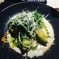 Filled pasta shells in white wine sauce at Vegan Restoran V in Tallinn