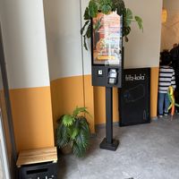 inside  at Burrito Company in Dresden