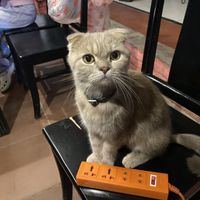 Lucky!  at Nhà Hàng Chay Emma - Emma's Vegan Garden in Hoi An