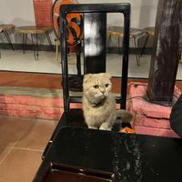   at Nhà Hàng Chay Emma - Emma's Vegan Garden in Hoi An