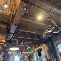 Decorated ceiling   at Mojo Coffee Gallery  in Minneapolis
