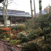 Garden view from room at Ekoin in Koya