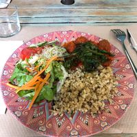 Vegan meatballs with rice and salad. The tomato sauce was homemade. at Temple Natura in Mallorca