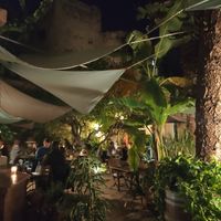 The garden of the restaurant at Temple Natura in Mallorca