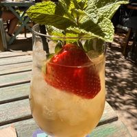 Kombucha  at Temple Natura in Mallorca