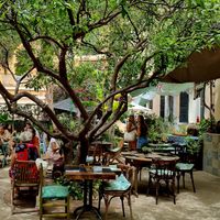 The garden. at Temple Natura in Mallorca