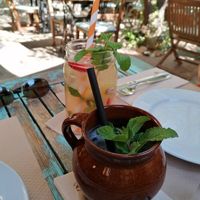 Homemade Limonade & Ginger Beer at Temple Natura in Mallorca