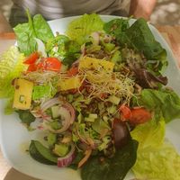 Chef's special salad... lentil salad at Temple Natura in Mallorca