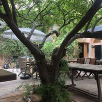 Beautiful terrace  at Temple Natura in Mallorca