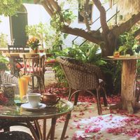 beautiful garden  at Temple Natura in Mallorca