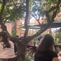 Nice gardenn  at Temple Natura in Mallorca