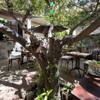 Eating in naturee  at Temple Natura in Mallorca