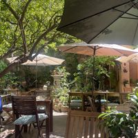   at Temple Natura in Mallorca