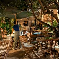 Ambiente   at Temple Natura in Mallorca