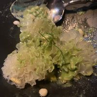 Snowy pine - favorite   at TOB  in West Hollywood