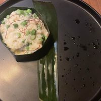 The rainforestt  at TOB  in West Hollywood