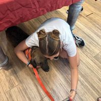  at Pan Kitchen - Pop Up  in Istanbul