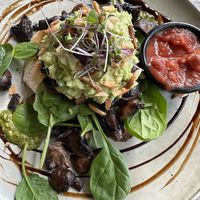   at Chill At Portofino in Palm Cove