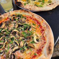  at volare in Leipzig